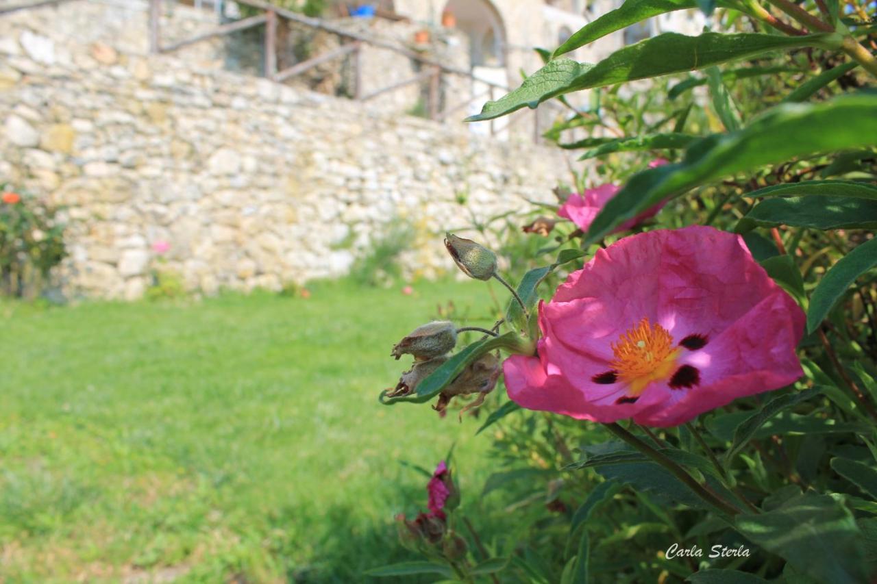 B&B Rubando Le Nuvole Orco Feglino Luaran gambar
